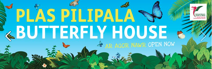 Screen Shot 2016-09-02 at 15.33.50